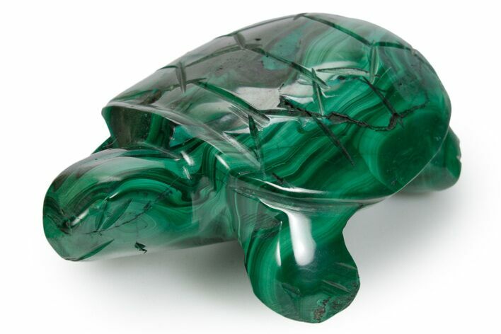 Flowery Malachite Turtle Carving - DR Congo #349332
